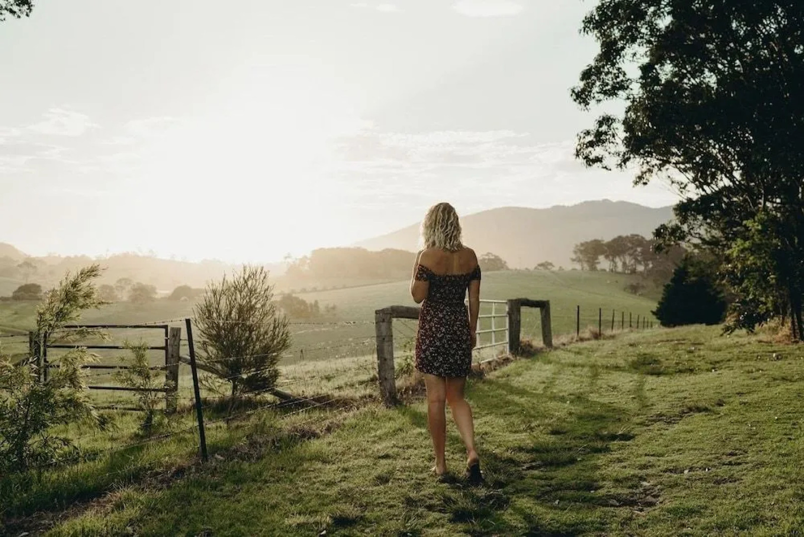 Tilba Lake Camp - Glamping