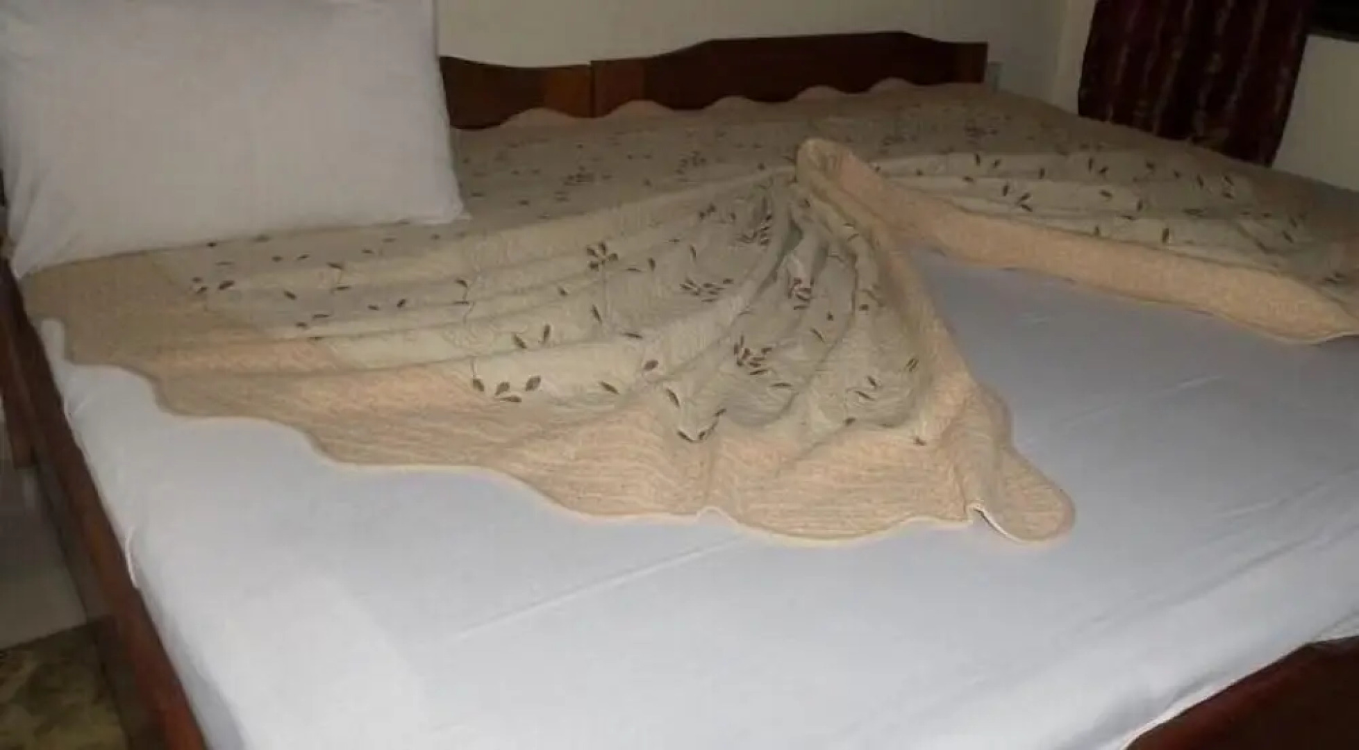 Boy Boison Elite Hotel