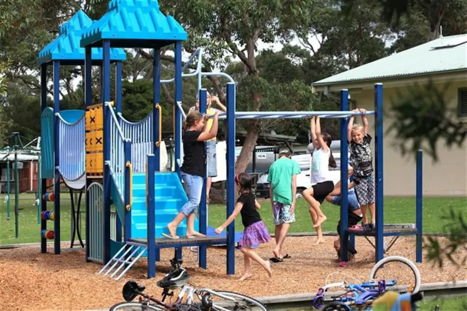 Holiday Haven Swan Lake