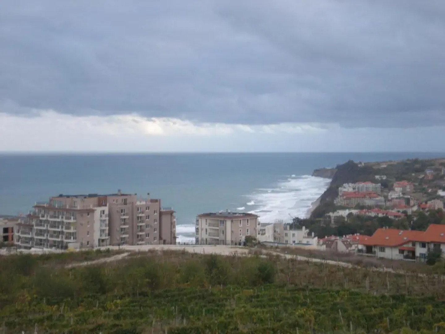 Villa Byala Grape House