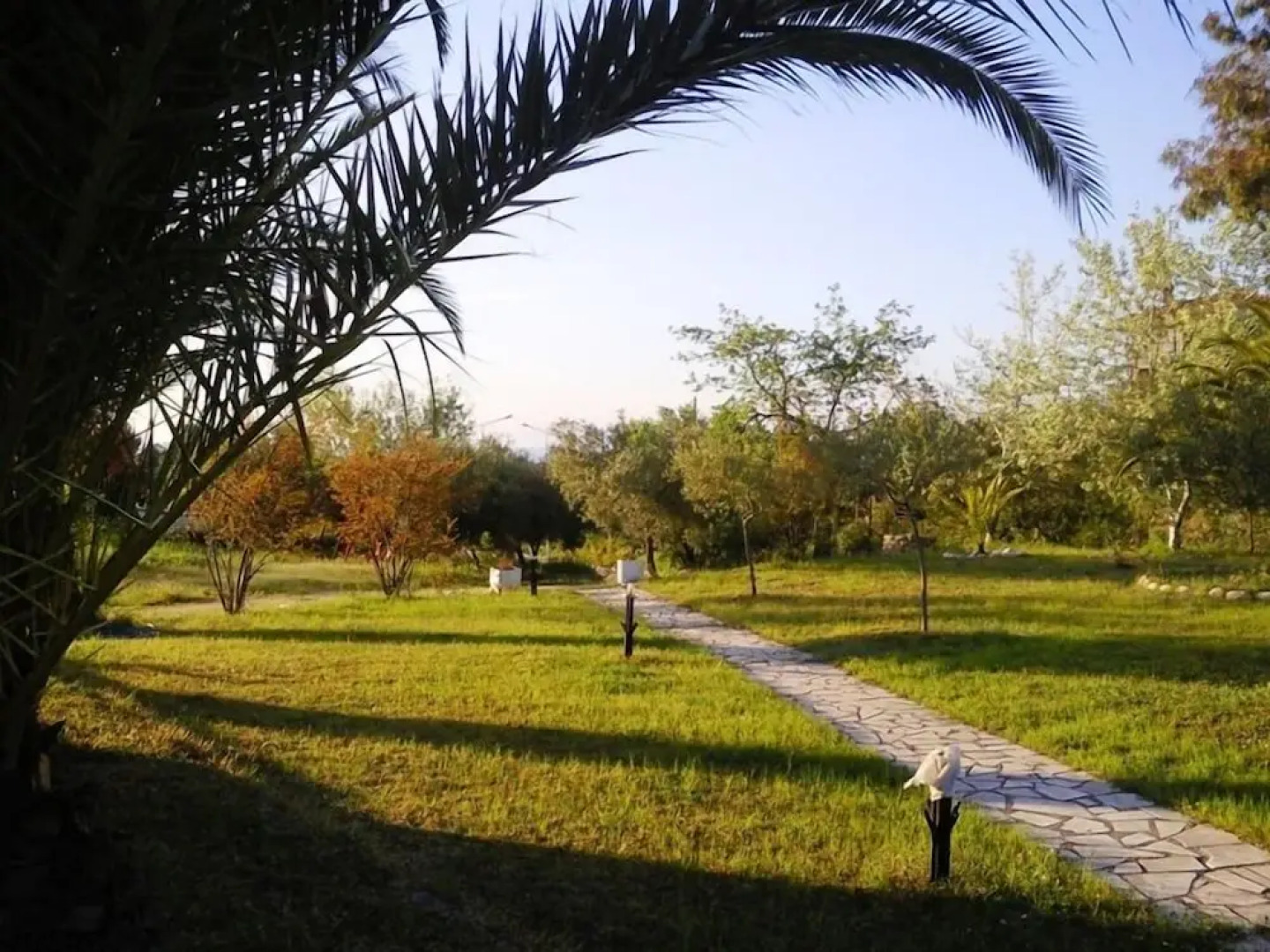 Vila Katia Polyhrono