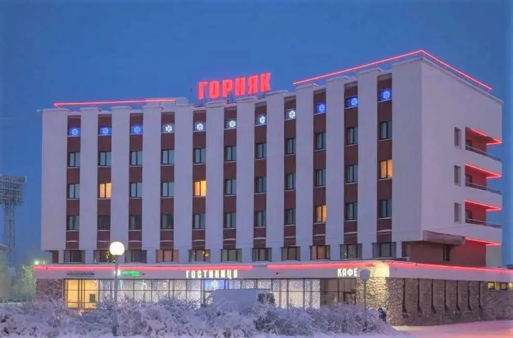 Горняк