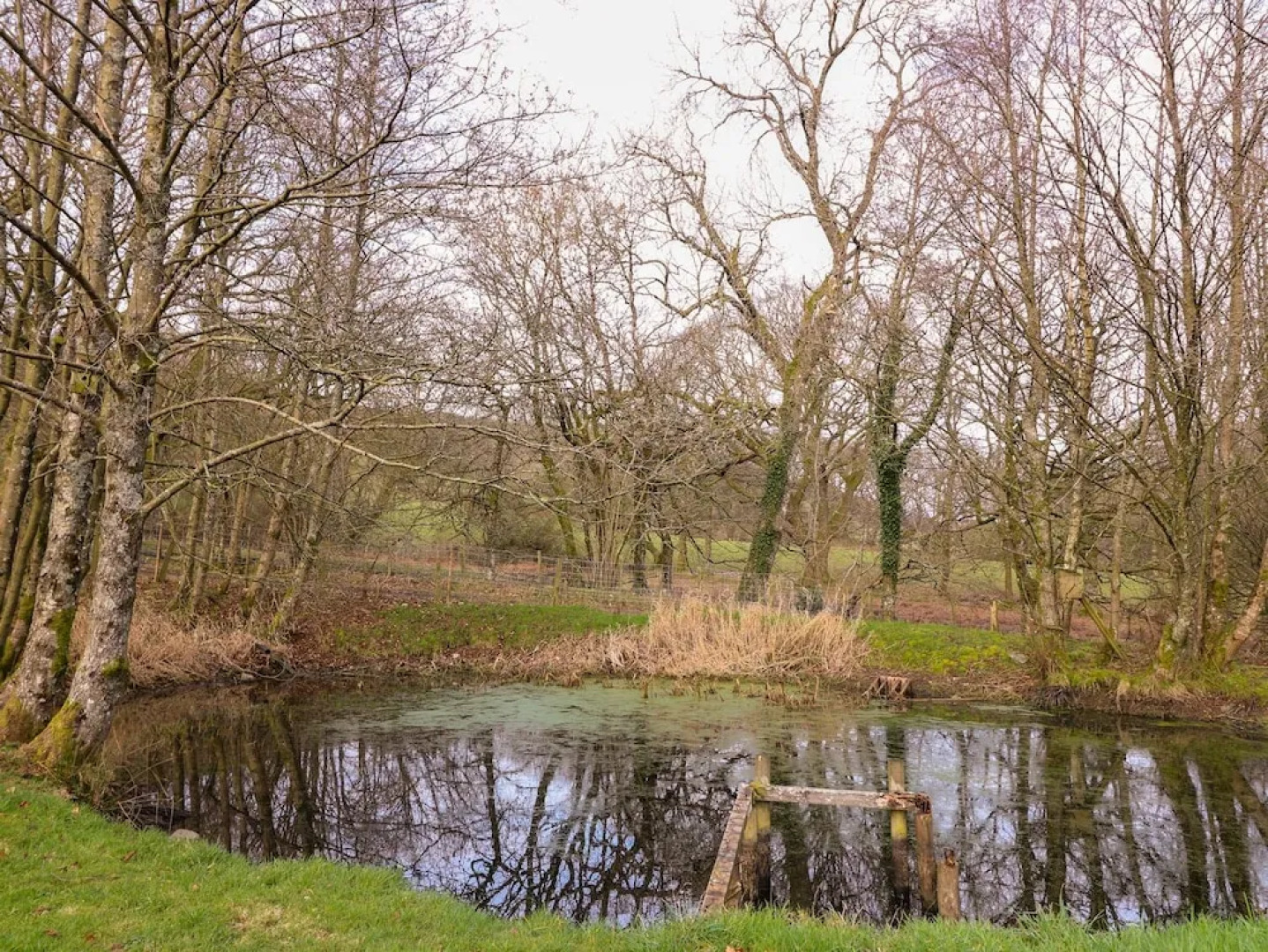 The Carnau Lodgings, Llandrindod Wells
