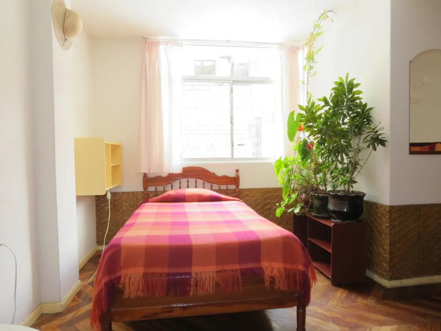 Hostal Plantas  Y Blanco