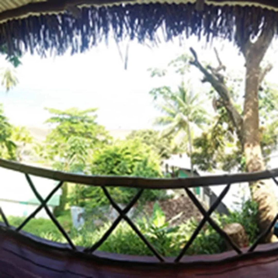 Cabinas Indigenas de Drake