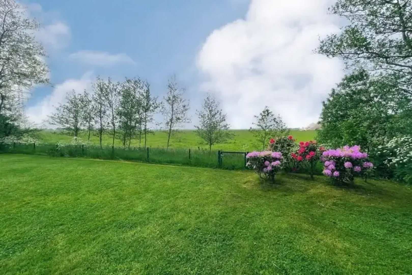 Historisches Reetdachhaus in Ruhiger Lage