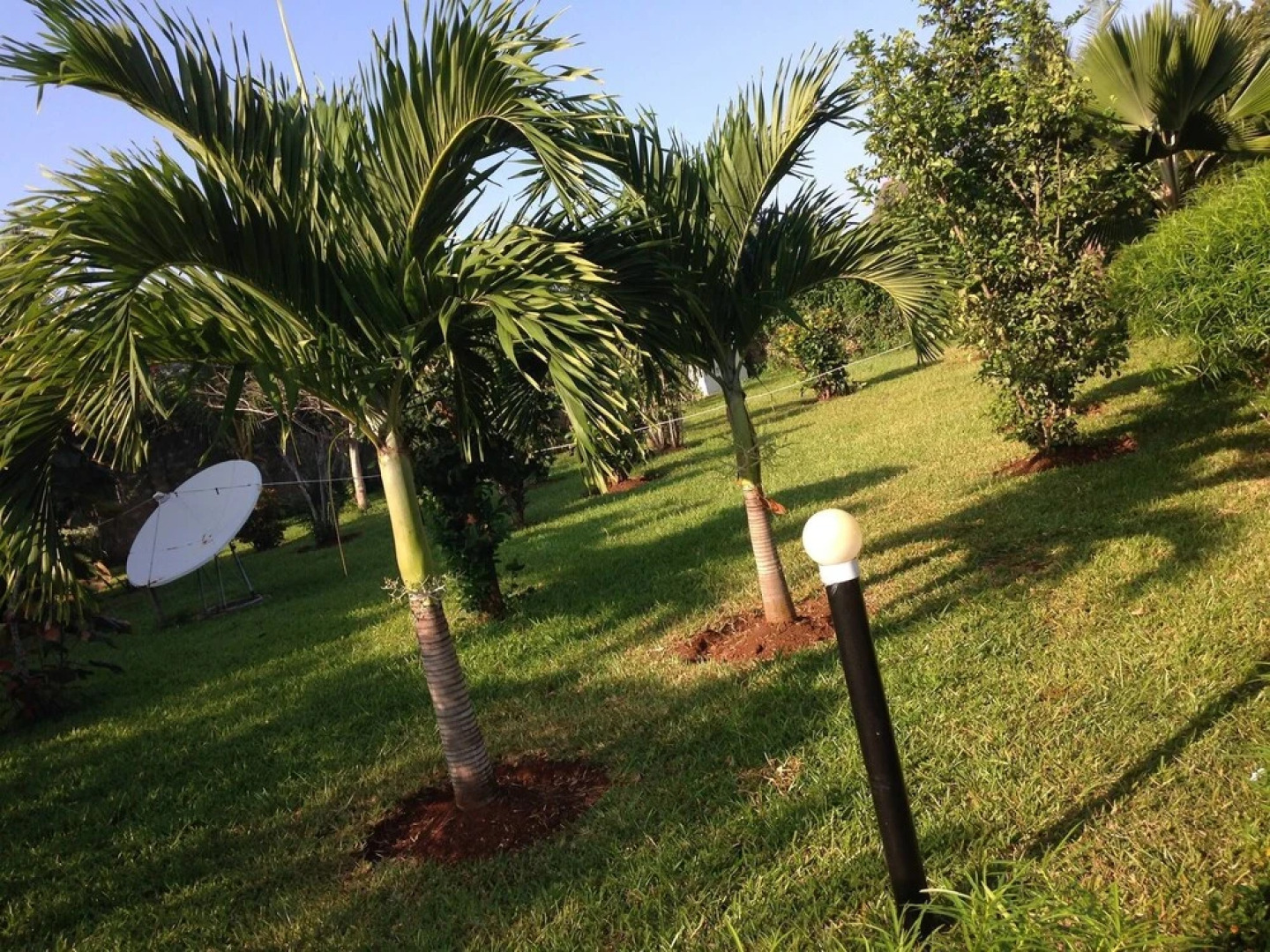 Villa Dora and Holly