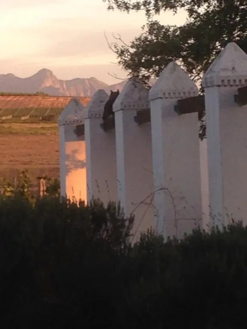 Jacaranda Wine And Guestfarm