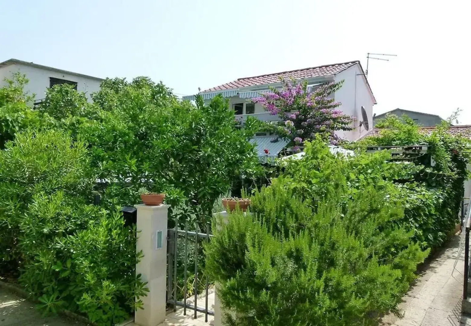 Zeljko - With Nice Garden - H