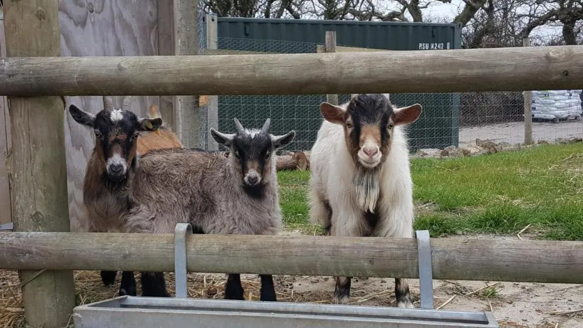 Wendron Plant Nursery Lettings