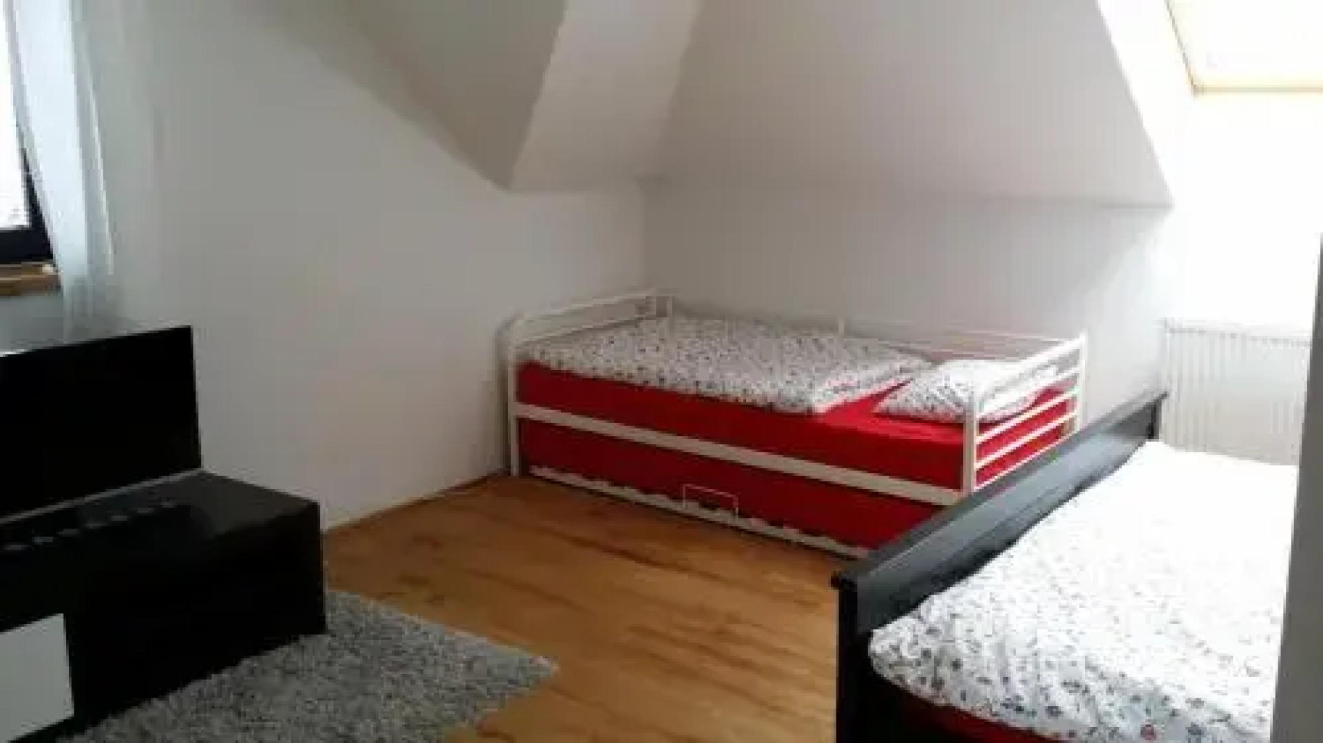 Rybolov pro děti a dospělé