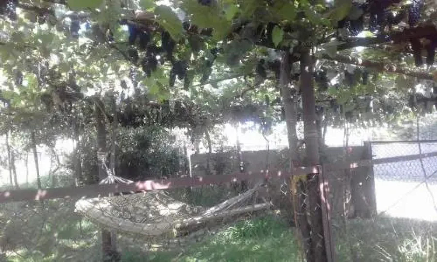 wine valley