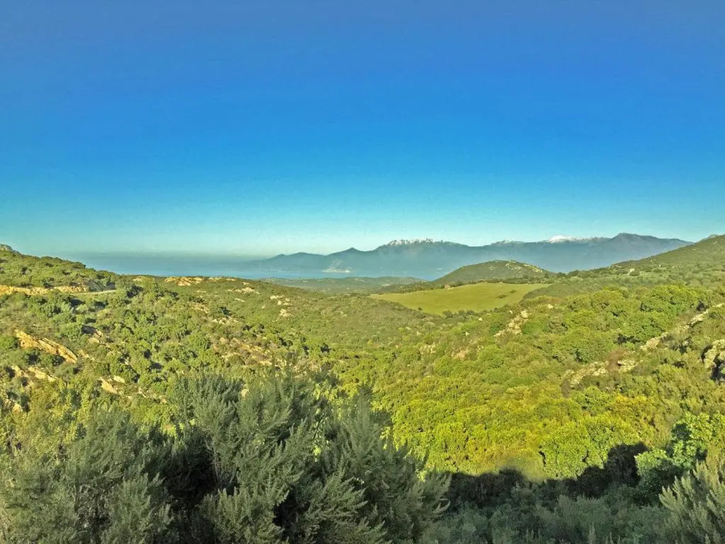 L'Europe Hotel Restaurant