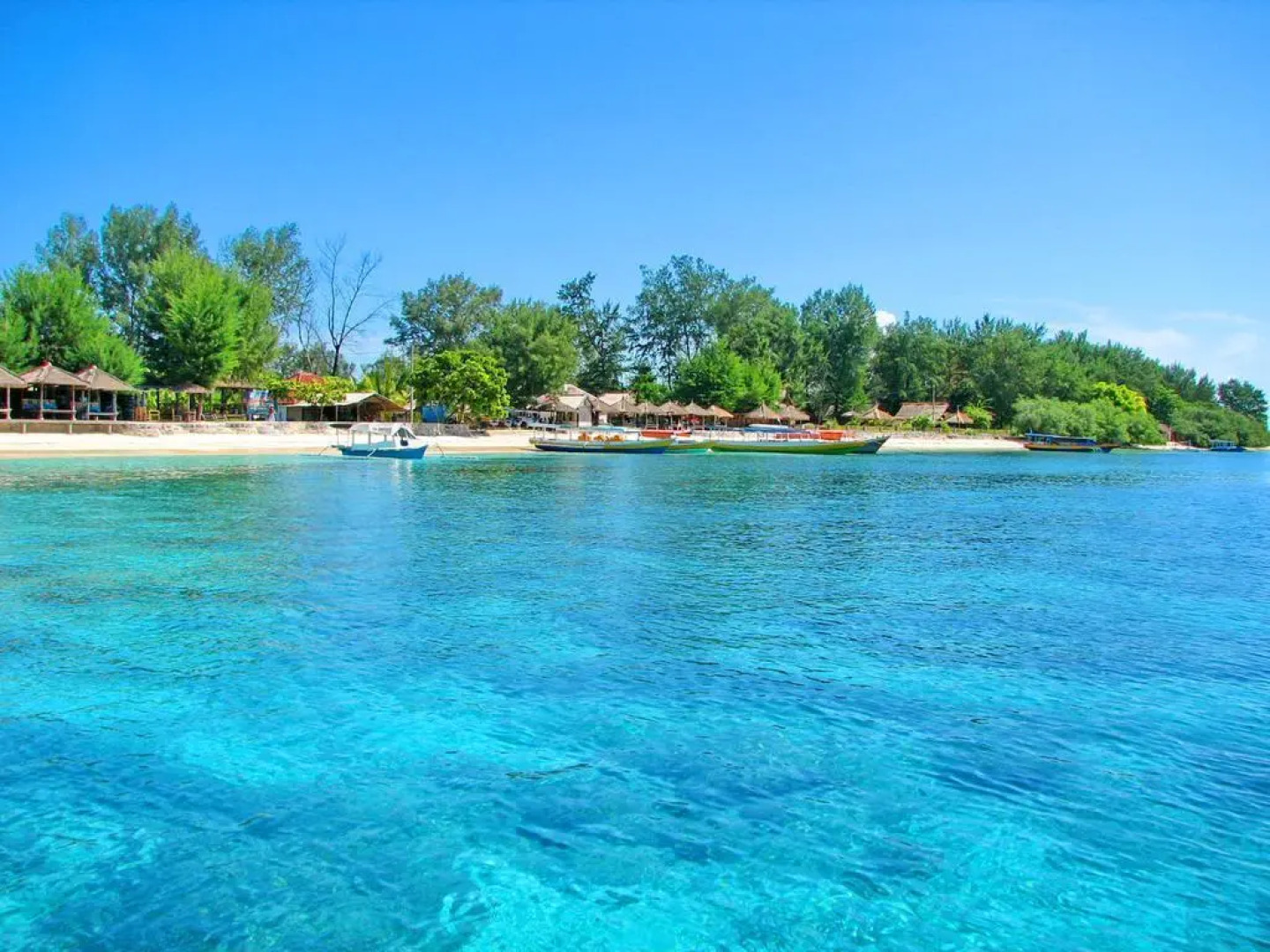 Gili Meno Bird Park resort