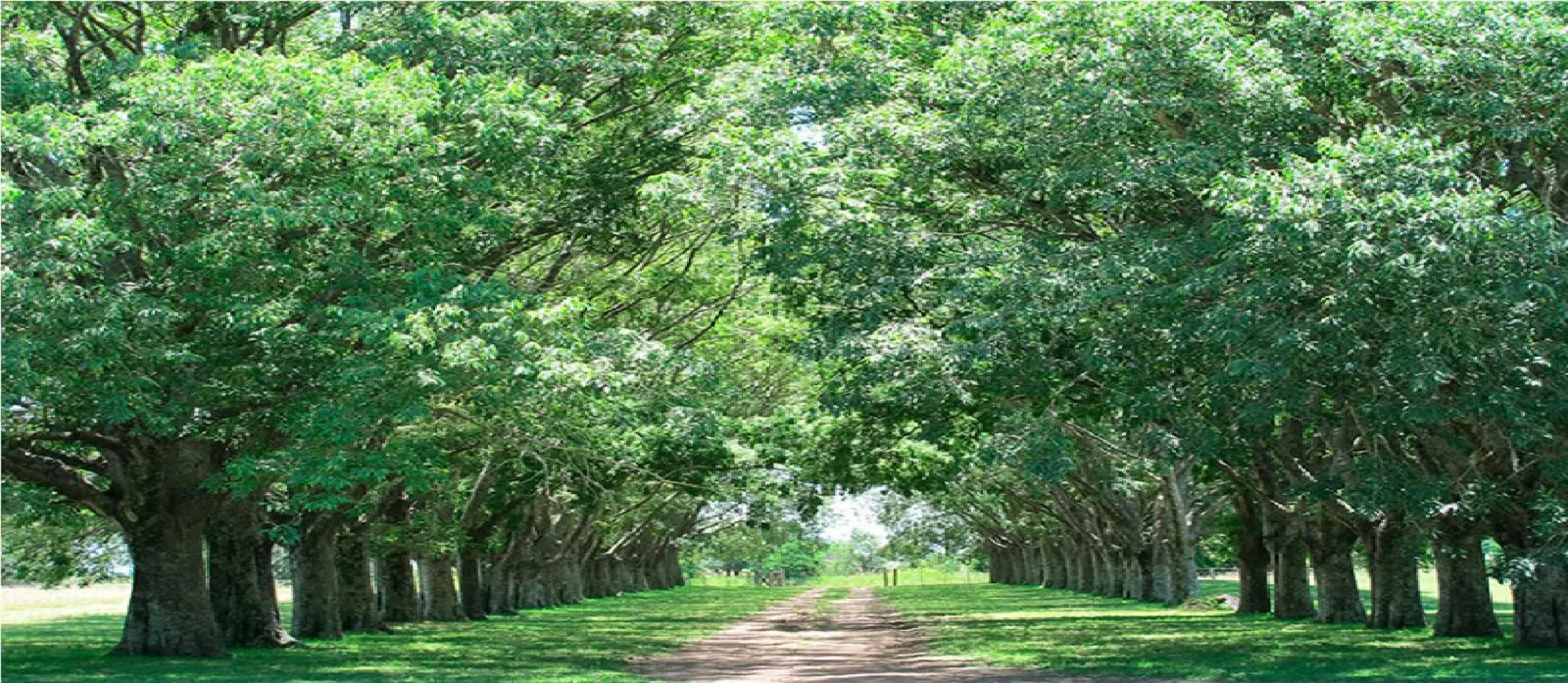 Estancia La Porteña de Areco