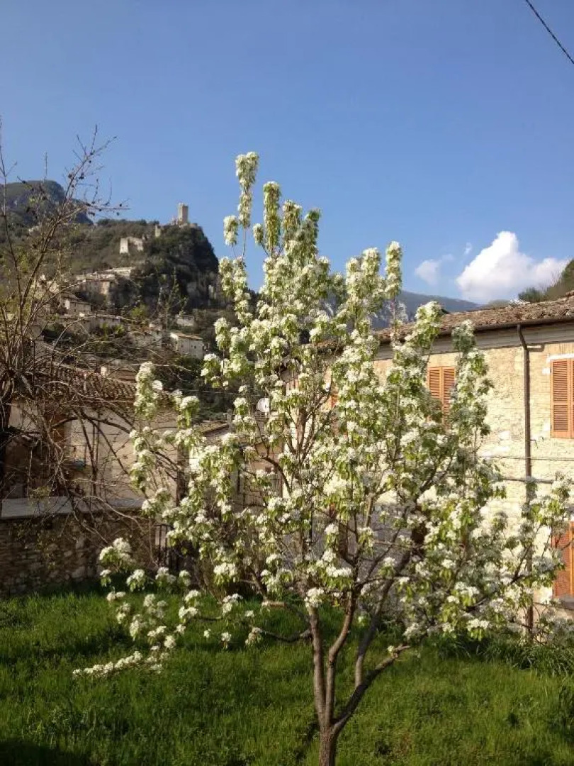 Il Borgo Agriturismo