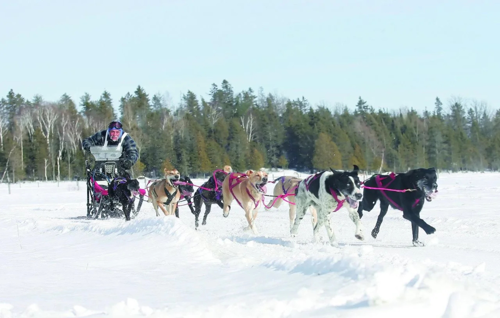 Holiday Inn Express & Suites Timmins by IHG