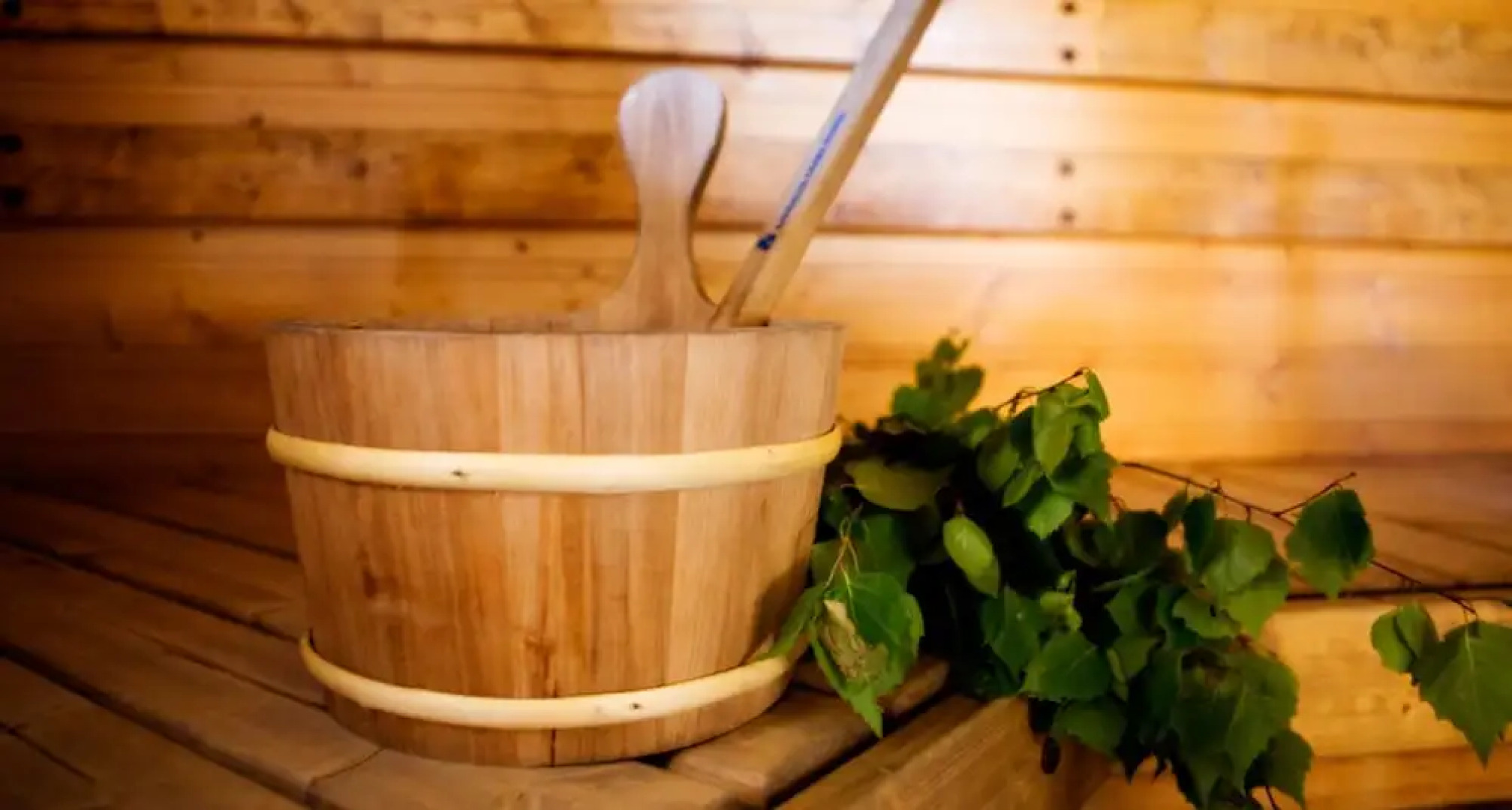 Salkolahti Kiiltavainen