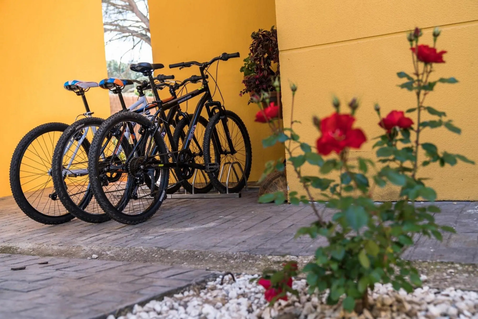 CT 102 CO - Casa El Lago - Casa El Lago - CT 102 CO