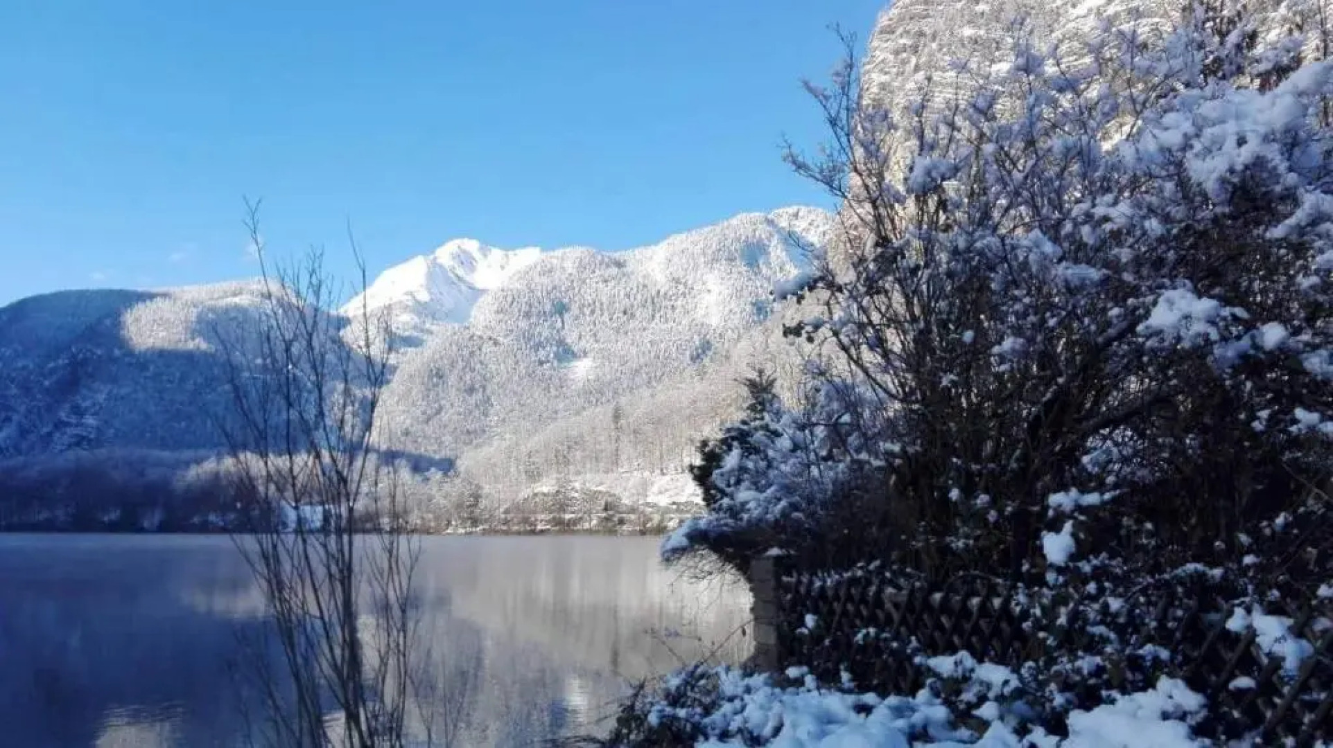 Hotel Seerose Obertraun