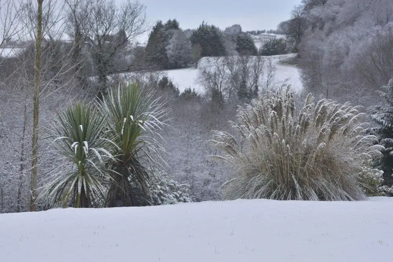 White Hill Country House