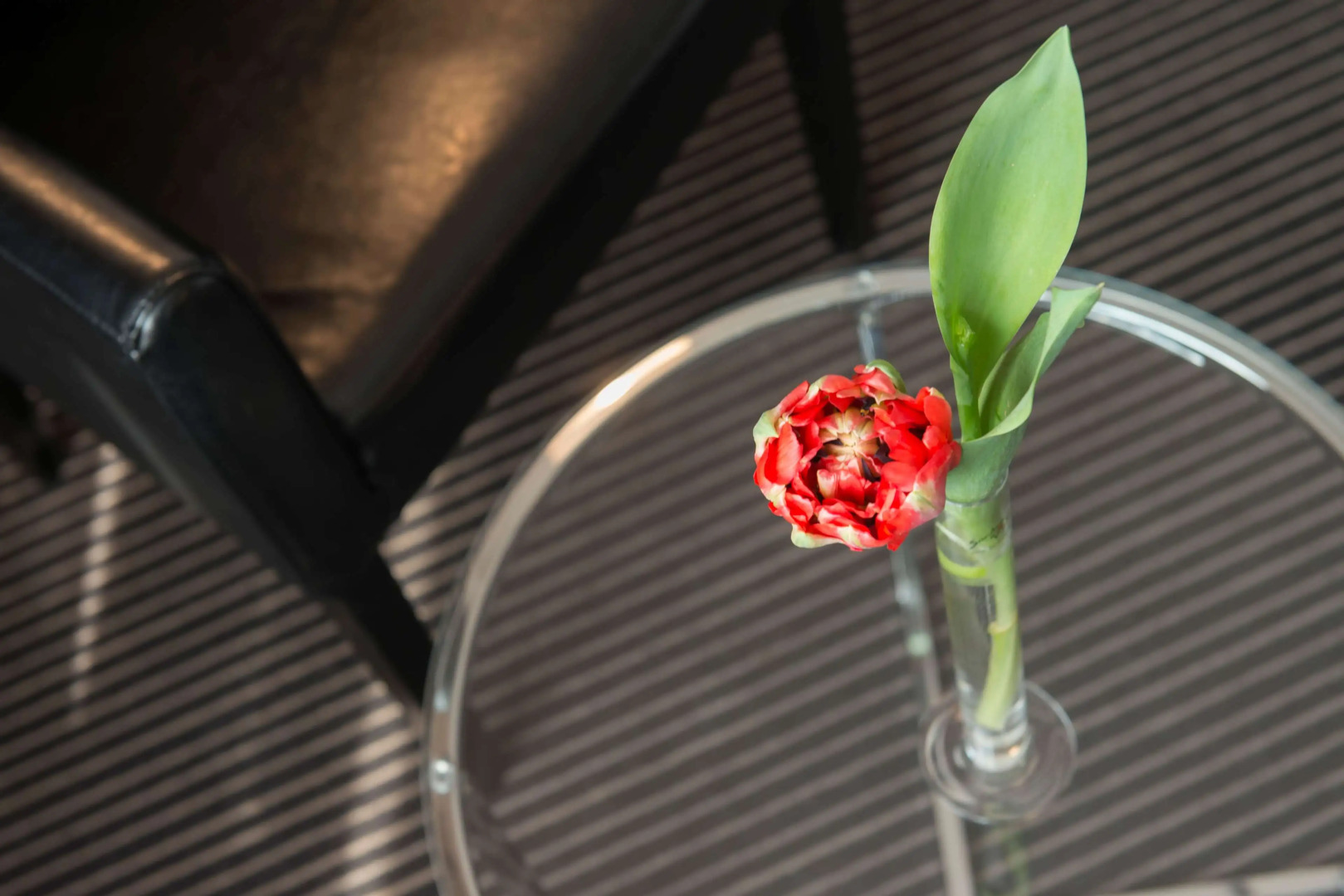 Tryp by Wyndham Wuppertal