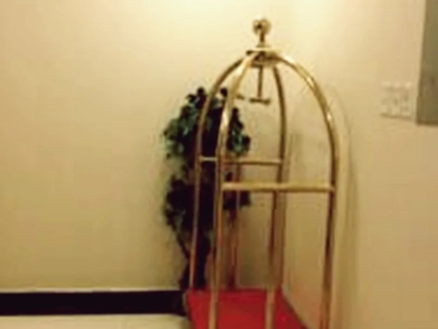 Lamar Suites Hotel