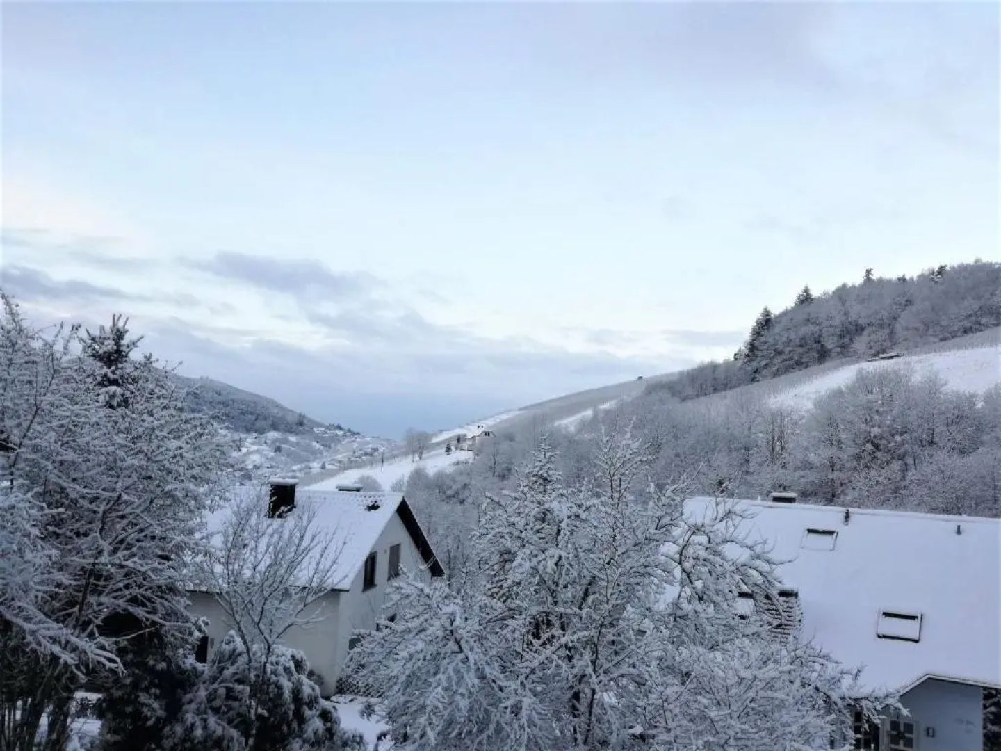 Ferienwohnung Wintereck