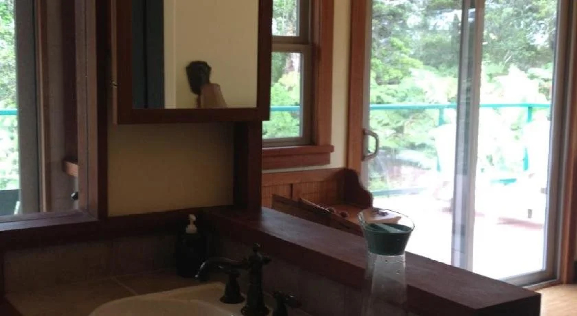 Volcano Big Tree Sanctuary