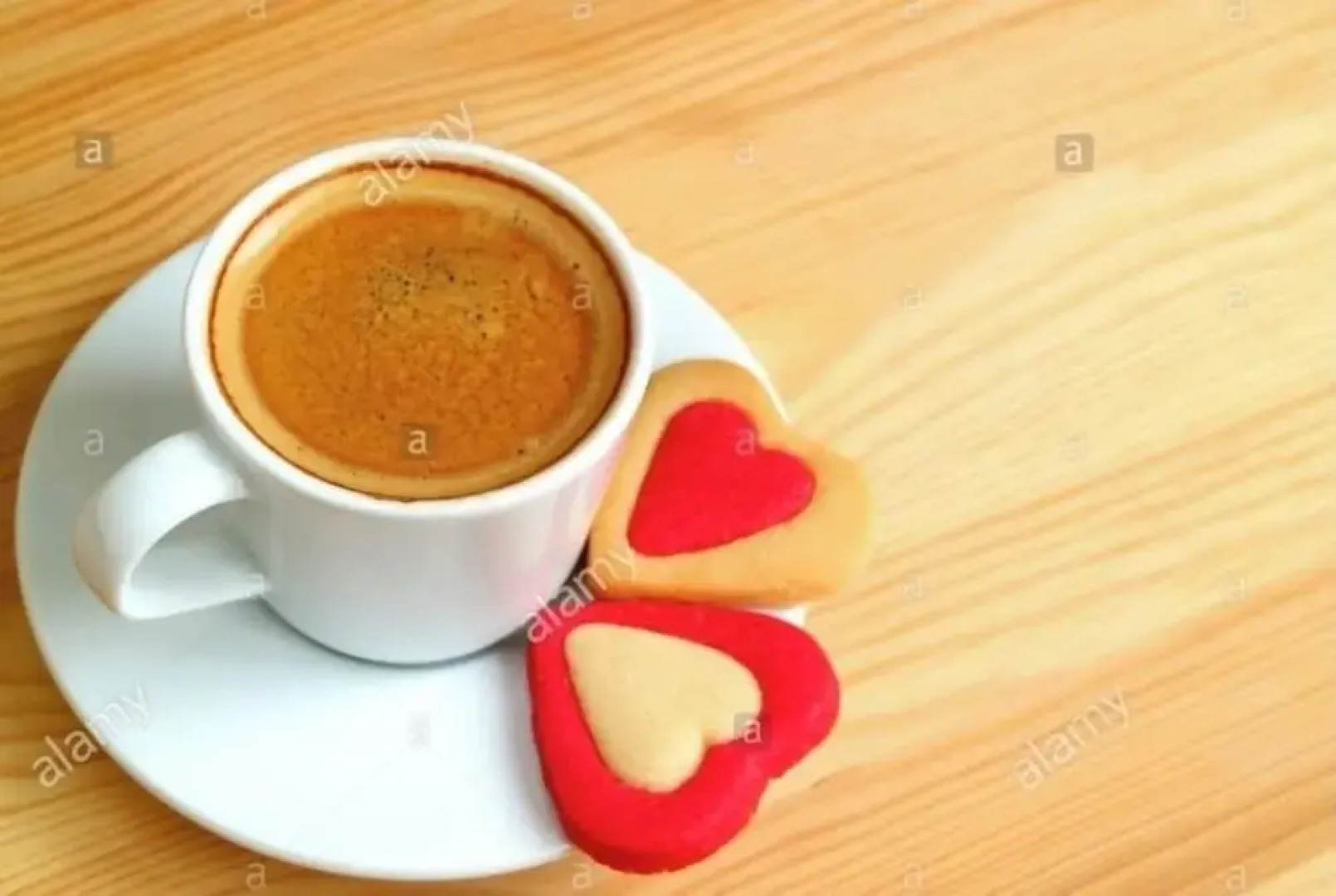 Guesthouse Vladimir & Ana