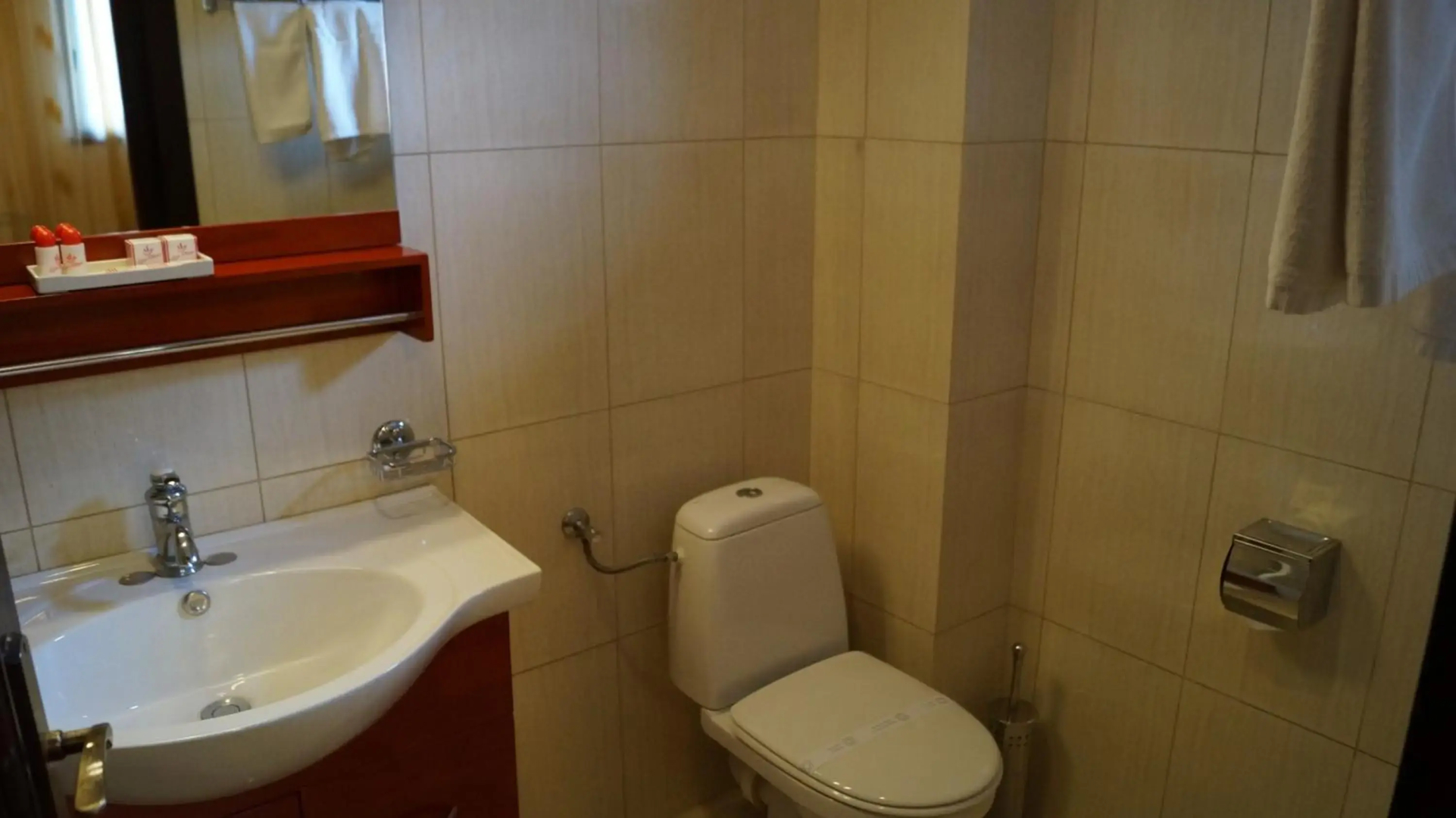 Hotel Bucegi