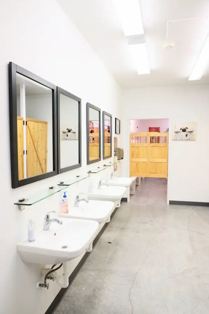 Eycat Lodging Company