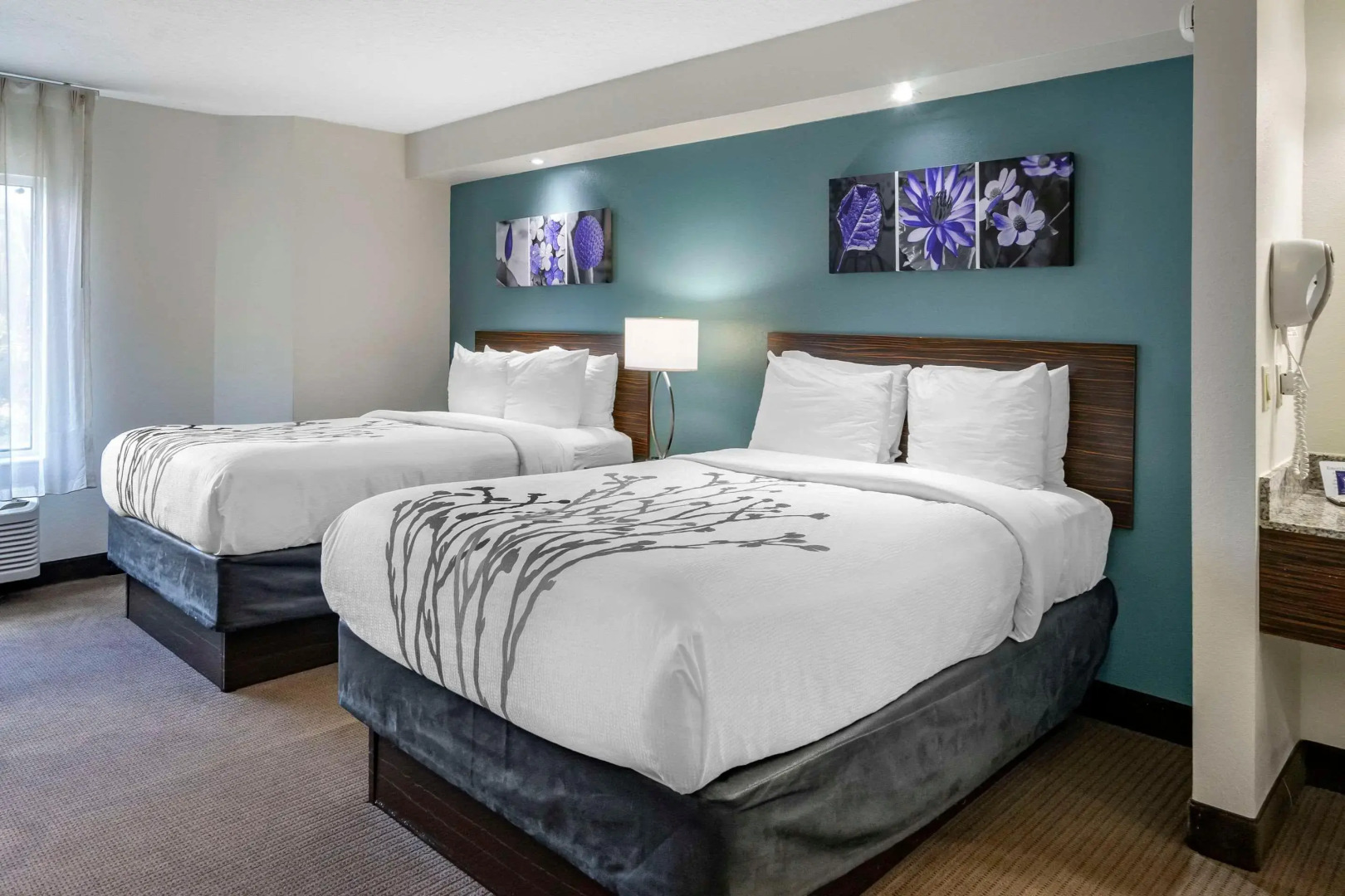 Sleep Inn Clearwater - St Petersburg