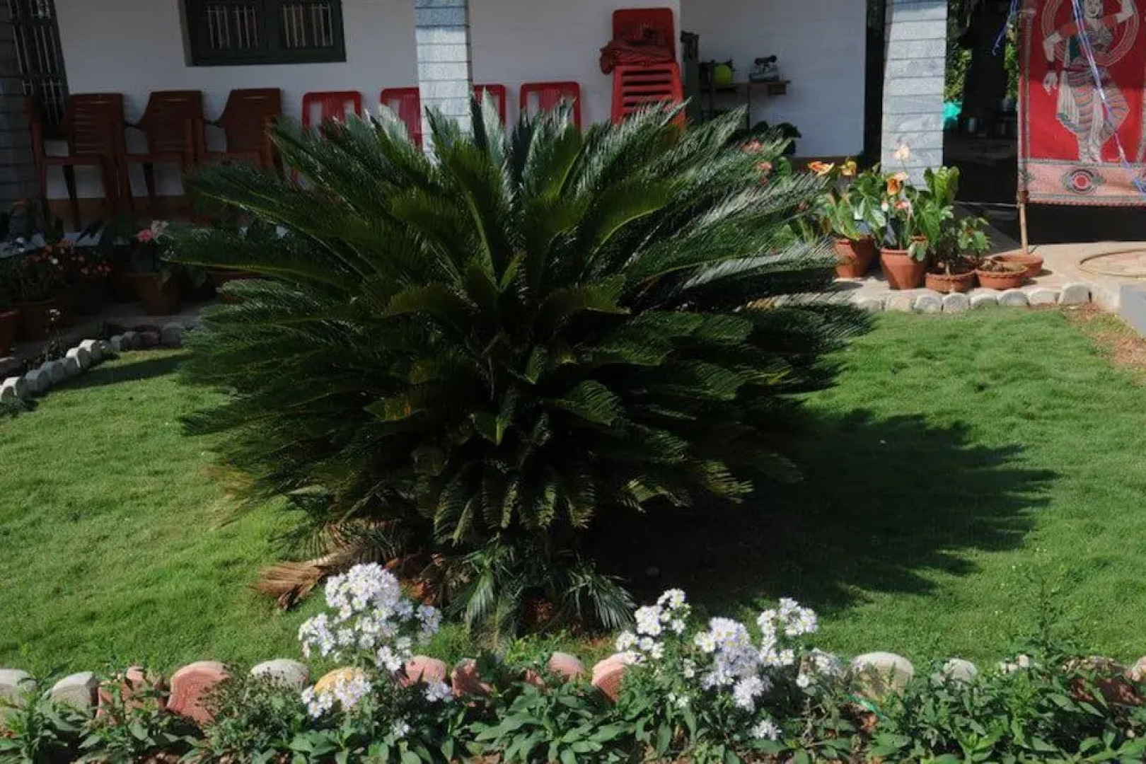 Black pepperz Gardenia