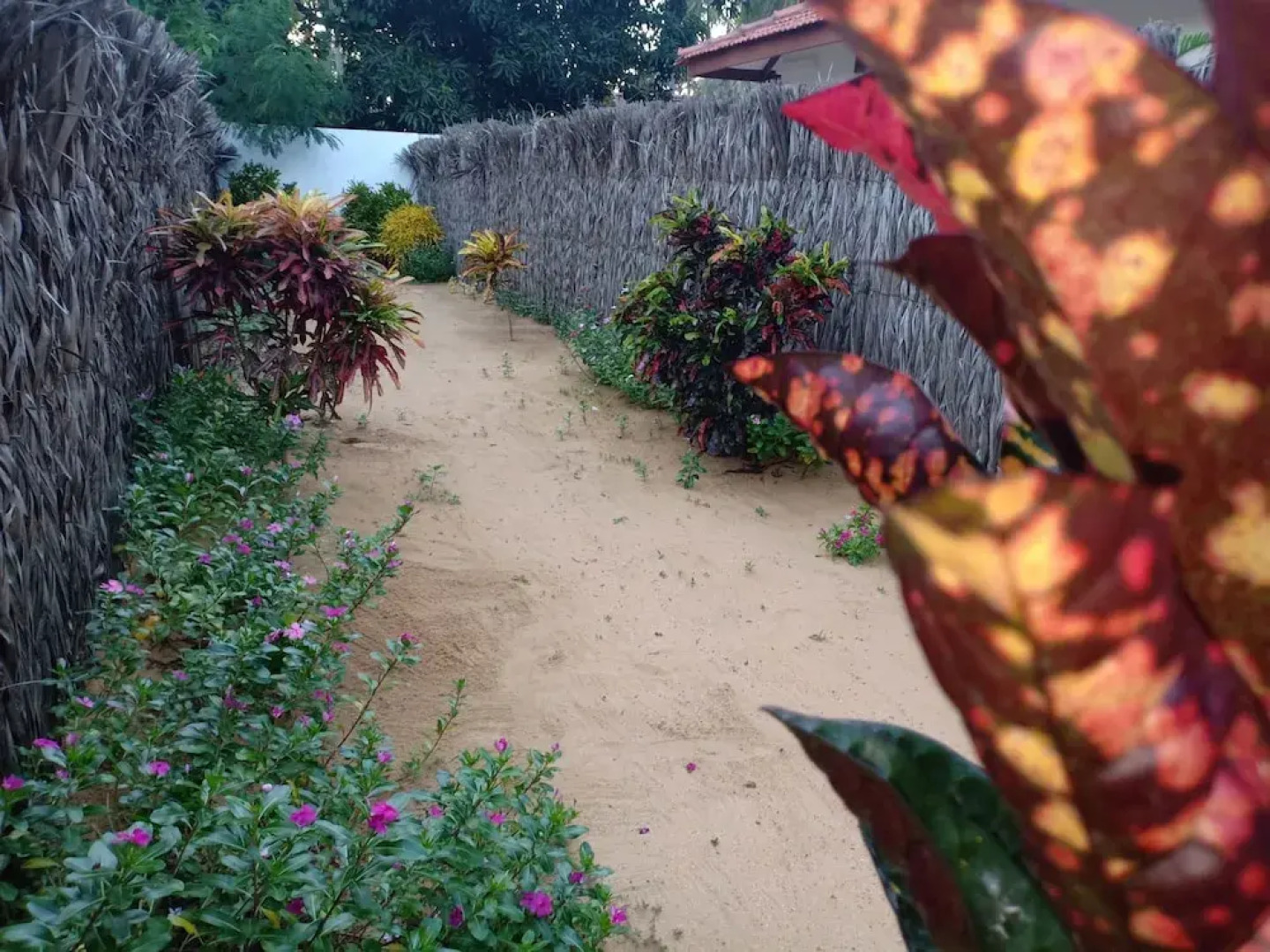 Sunset Safari & Resort