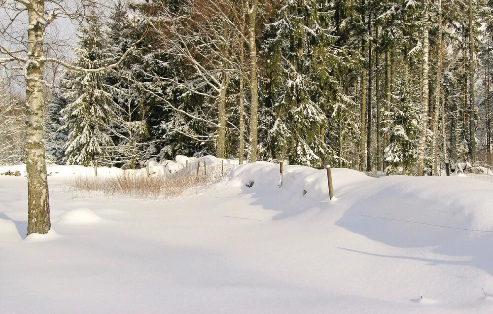 Nice Home in Vittaryd With 4 Bedrooms, Sauna and Wifi