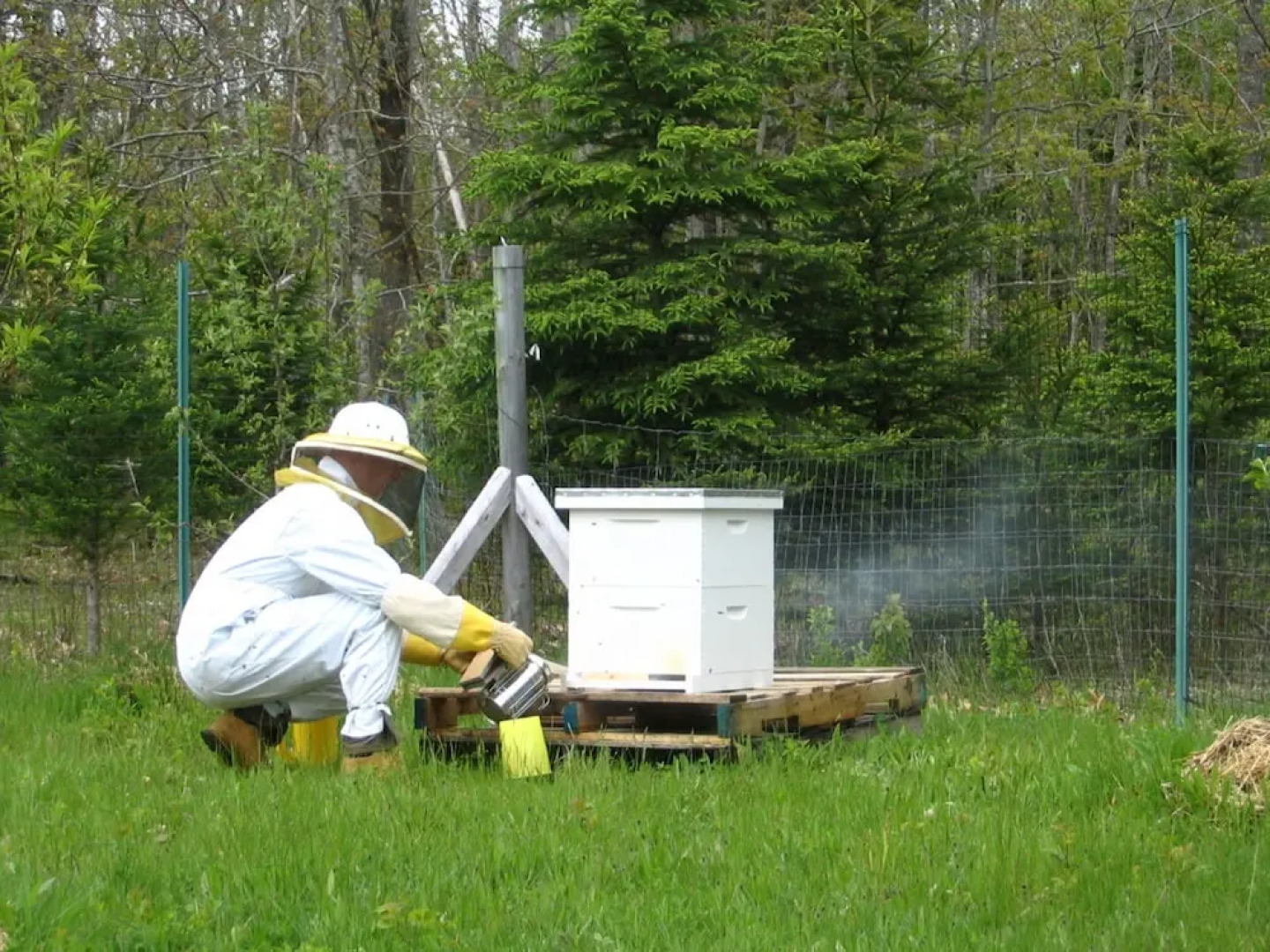 Three Pines Bed and Breakfast