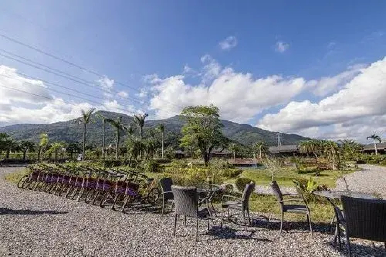 Ruisui Palm Lakes B&B