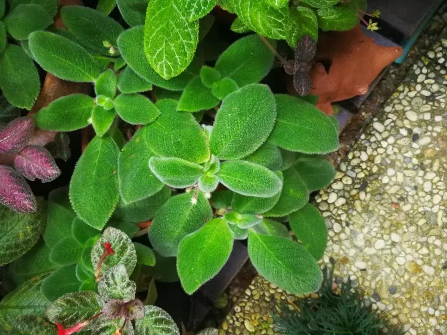 The House Boutique Hostel