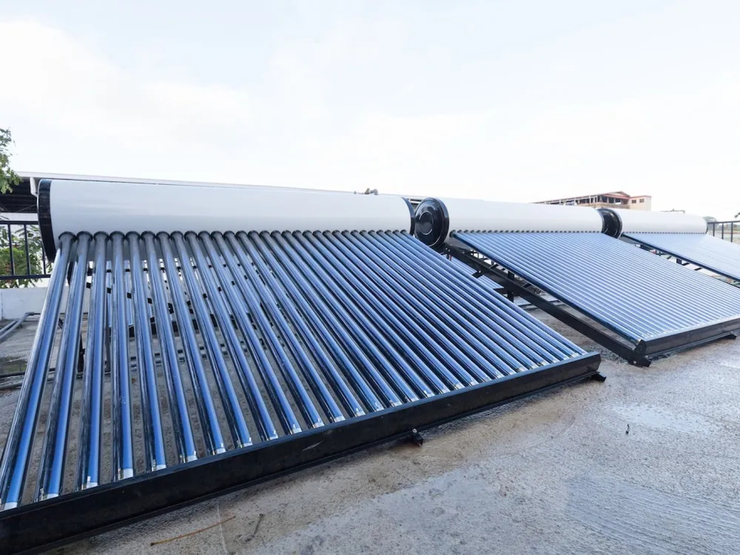 Garden Palace Downtown