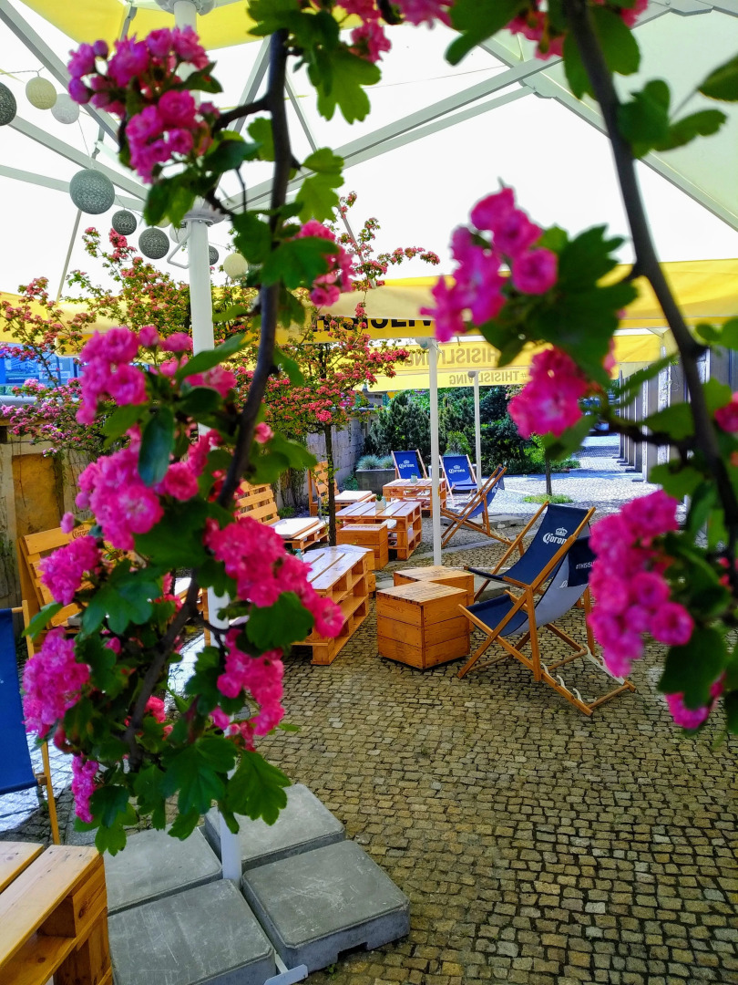 Zakrzówek Residence