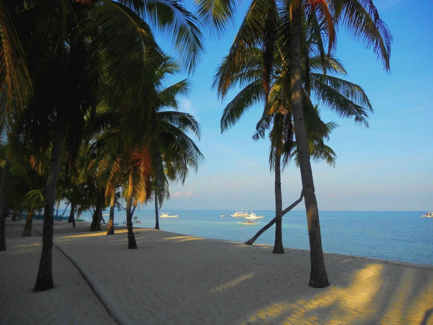 Slam's Garden Dive Resort