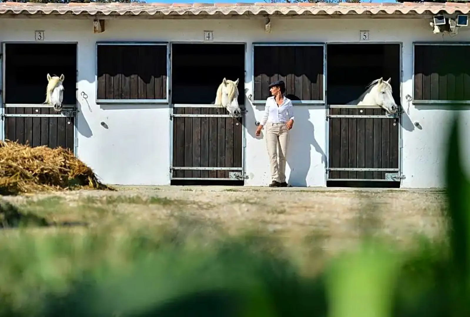 Hôtel Mas de la Grenouillère