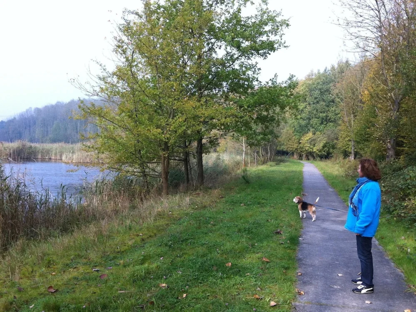Villa in Biddinghuizen by Lake Vulwe