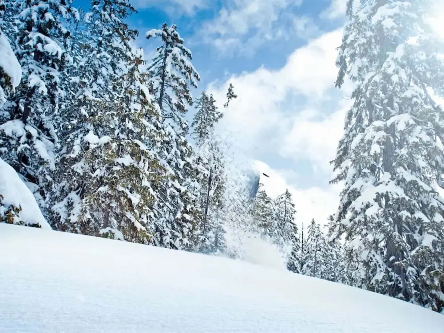 Scenic Apartment in Neukirchen am Großvenediger near Ski Area