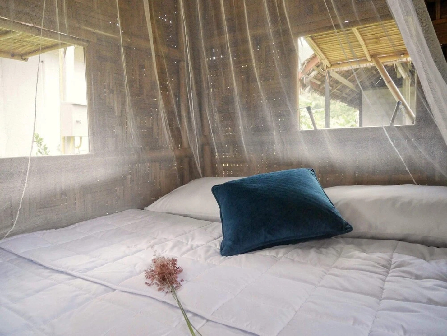 Samui Caravans Hill Camp