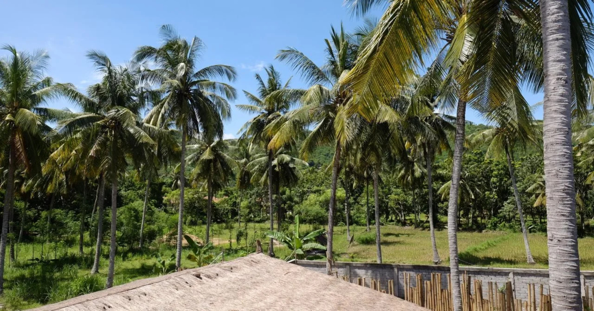 Slumber Party Surf Hostel Lombok