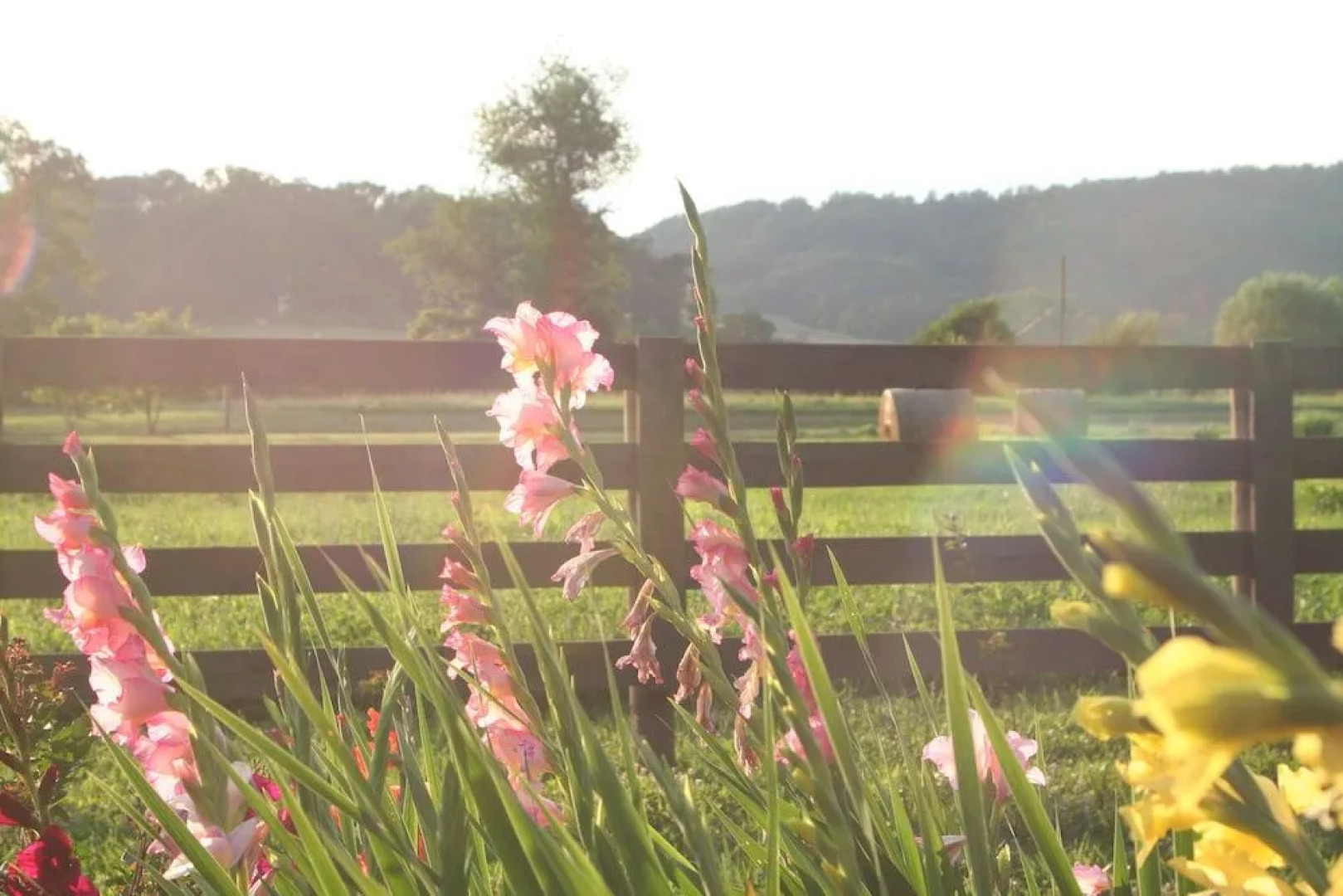 The Inn At The Crossroads