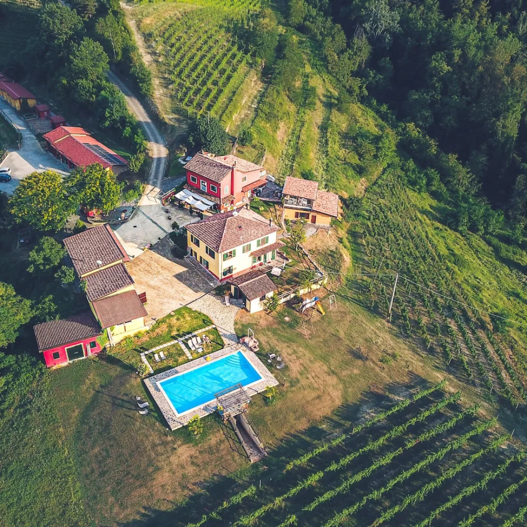 Tenuta MonteOliveto