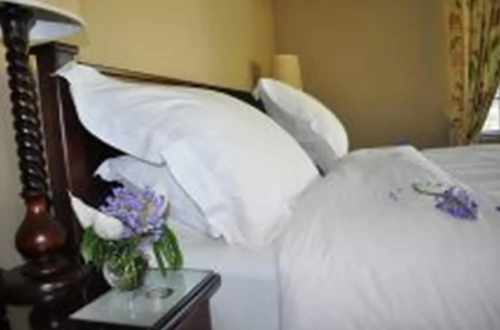 Plumbago Guest House